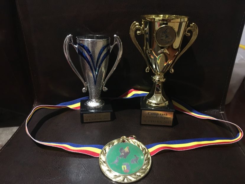 Cupele - 1 - Rezultate Expo Bistrita 16-11-2017