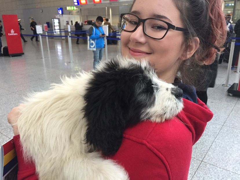 96813976-5223-4F0E-B869-45C603AE128C - Germania