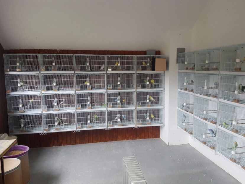  - - 2 Crescatoria de perusi