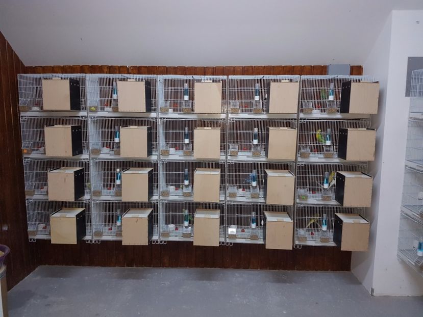  - - 2 Crescatoria de perusi