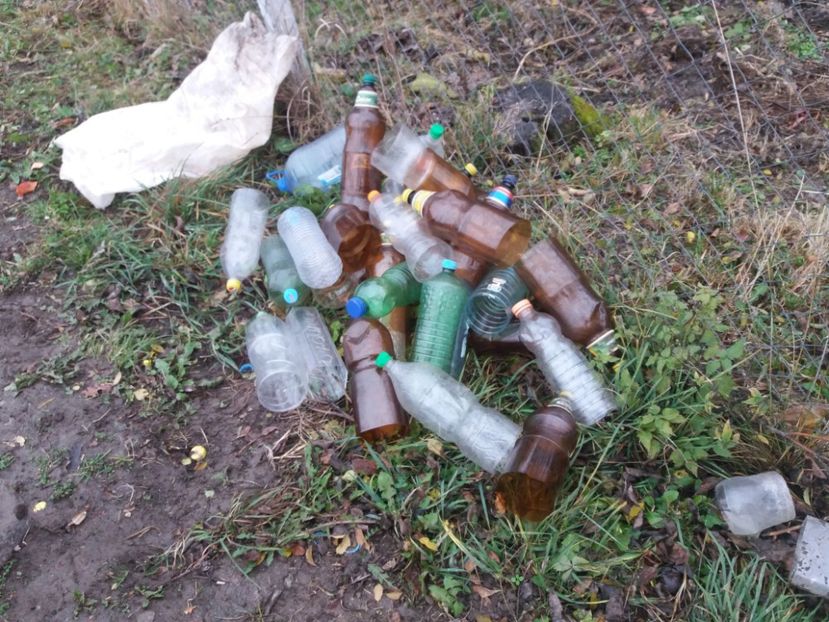 Sa incepem treaba - COLȚUL meu de GRĂDINĂ