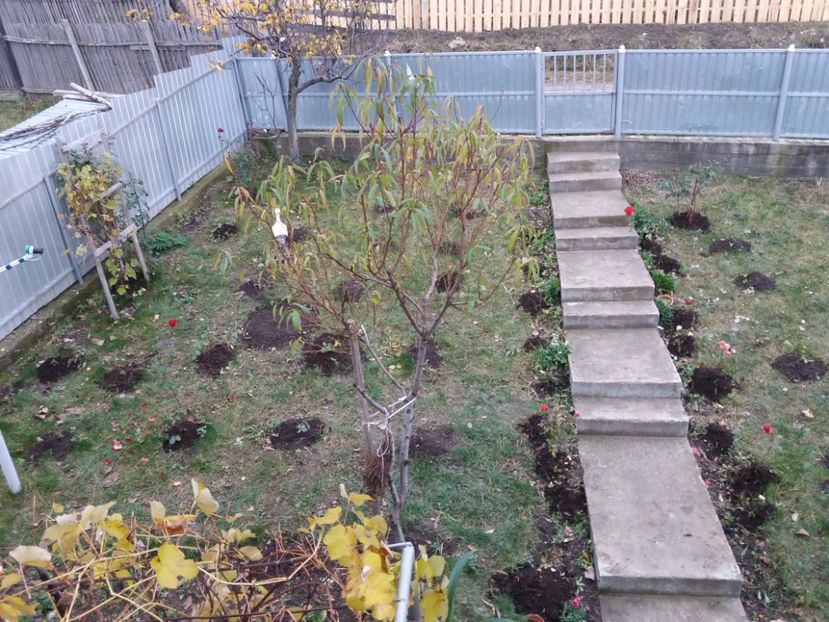 Vedere de ansamblu - 000000000000001   GRADINA MEA