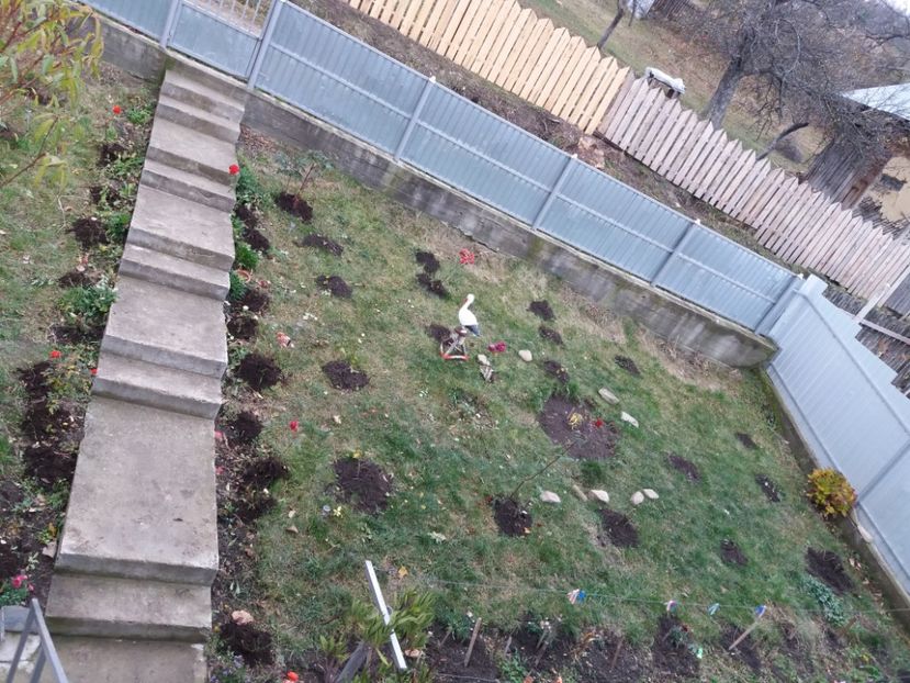 Pregatiti de iernat  - 000000000000001   GRADINA MEA