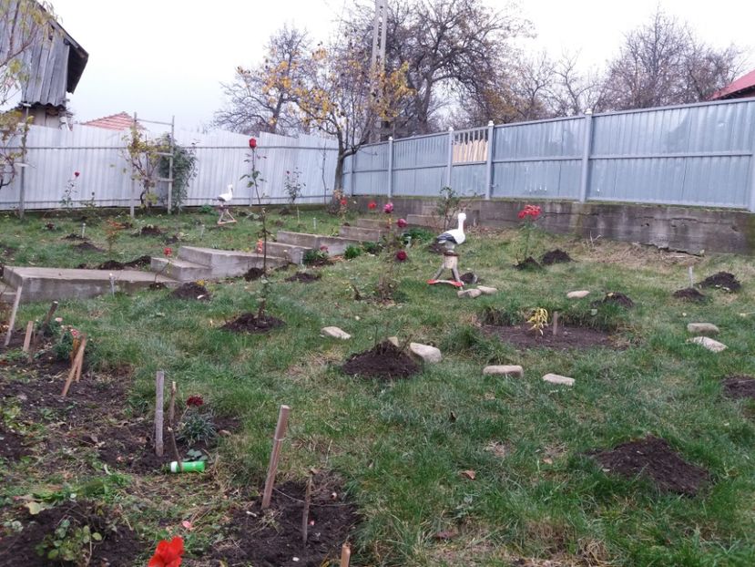  - 000000000000001   GRADINA MEA