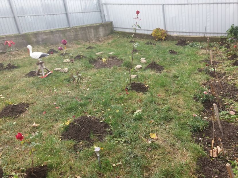  - 000000000000001   GRADINA MEA