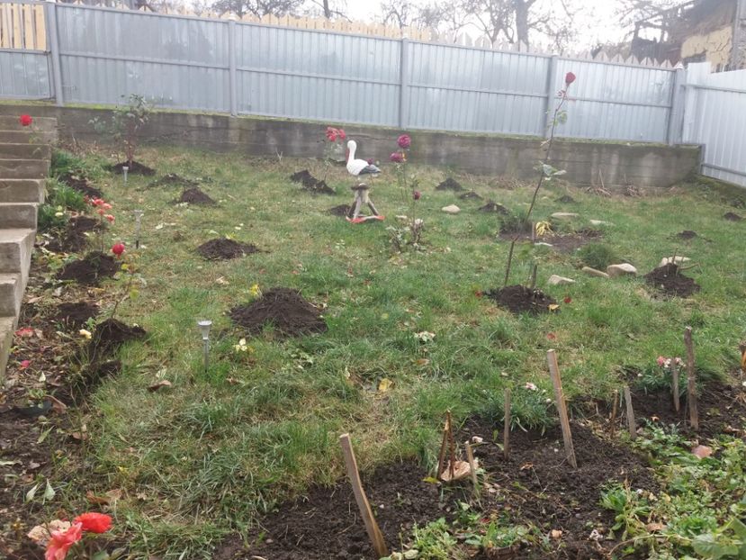  - 000000000000001   GRADINA MEA