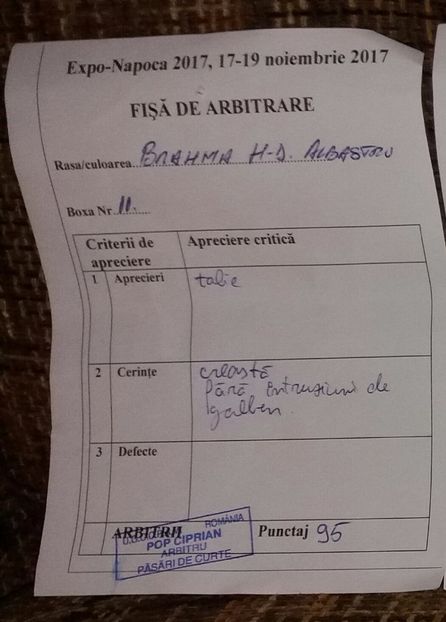  - Rezultate expo Napoca 16-18 noiembrie 2017
