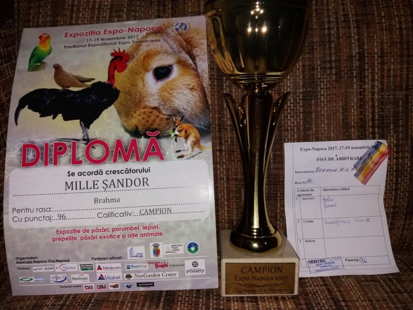  - Rezultate expo Napoca 16-18 noiembrie 2017