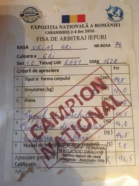 Ro 56 1620( M2) Camp.Nat .2016! 96,5pct. - MASCULI MATCA 2018