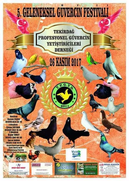  - T--TARGURI SI EXPOZITII