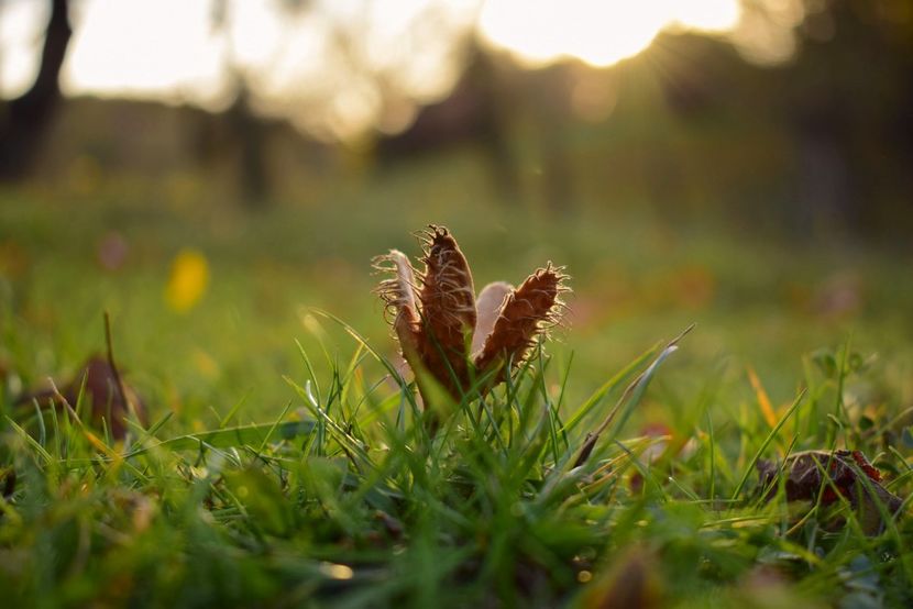  - O toamna ca-n povesti