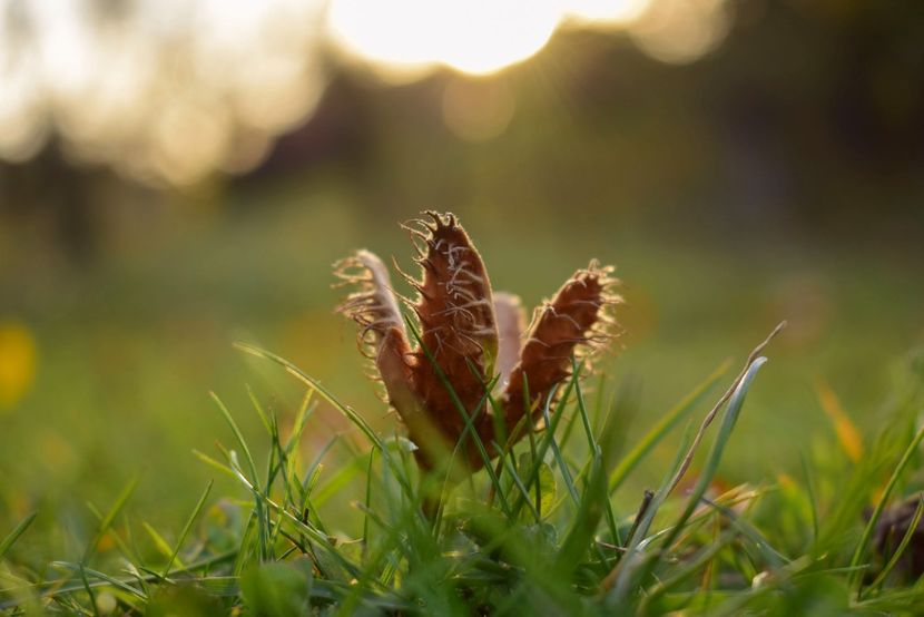  - O toamna ca-n povesti