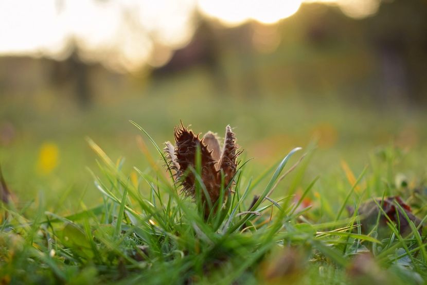  - O toamna ca-n povesti