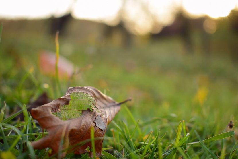  - O toamna ca-n povesti