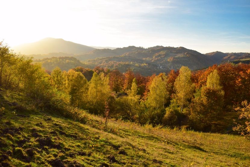  - O toamna ca-n povesti