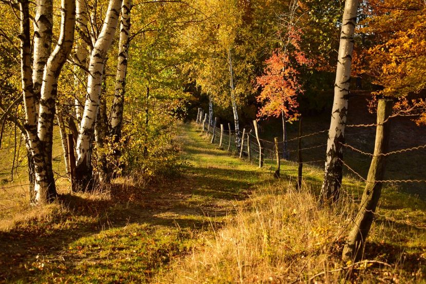  - O toamna ca-n povesti