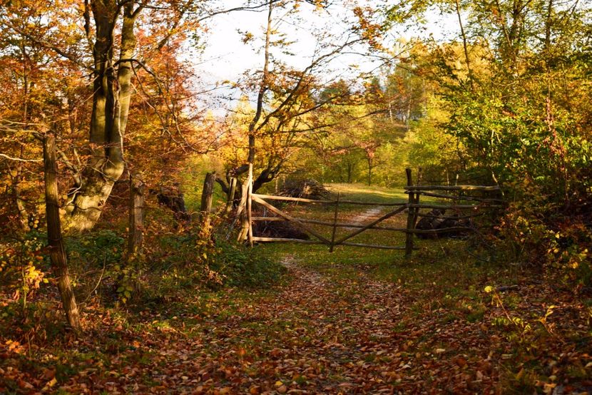  - O toamna ca-n povesti
