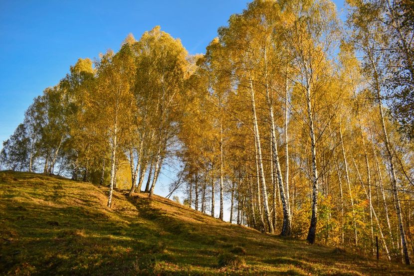  - O toamna ca-n povesti