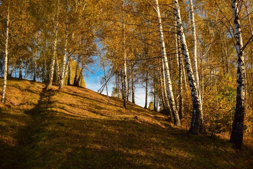  - O toamna ca-n povesti