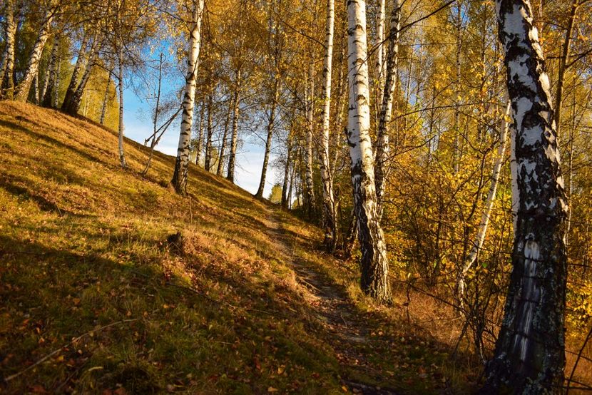  - O toamna ca-n povesti