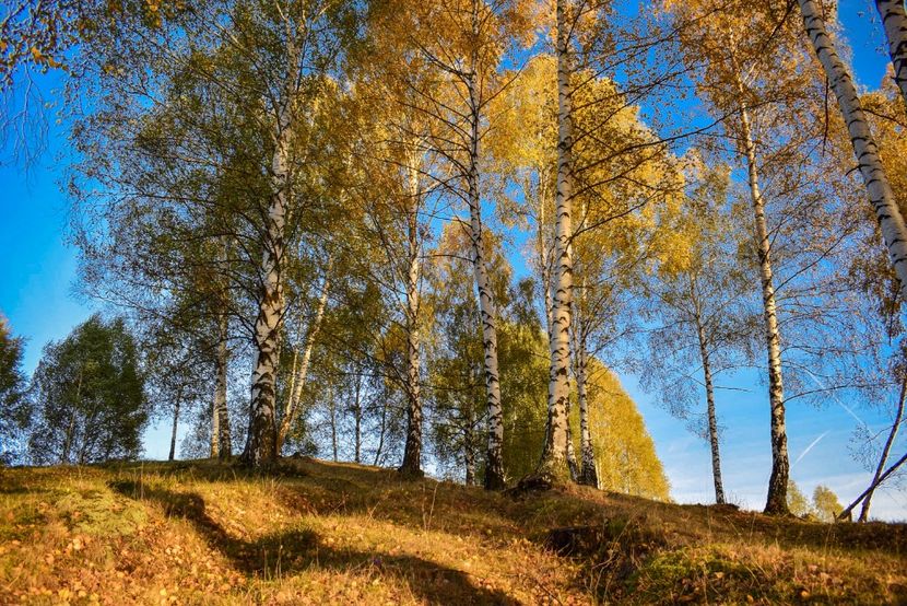  - O toamna ca-n povesti