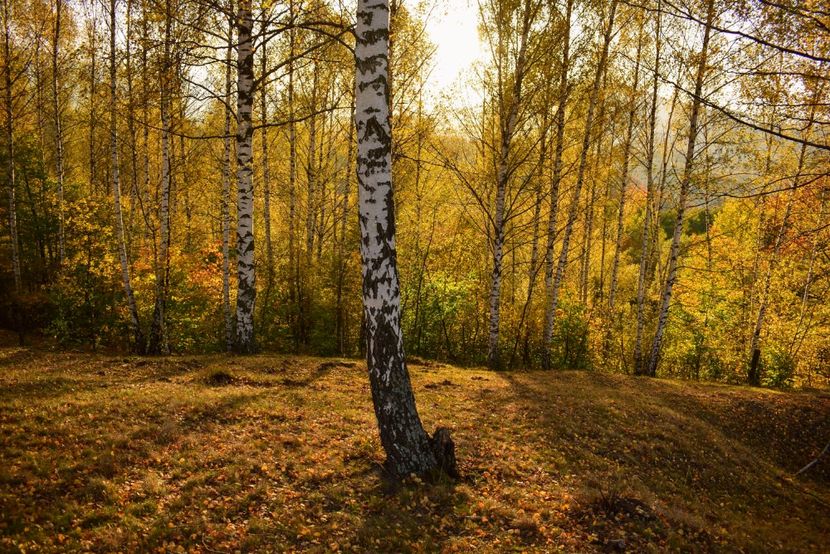  - O toamna ca-n povesti