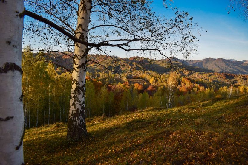  - O toamna ca-n povesti