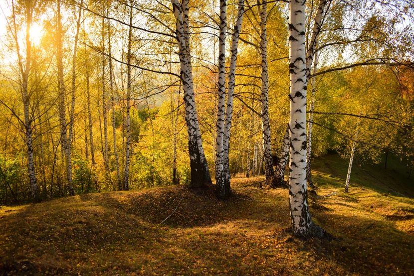  - O toamna ca-n povesti