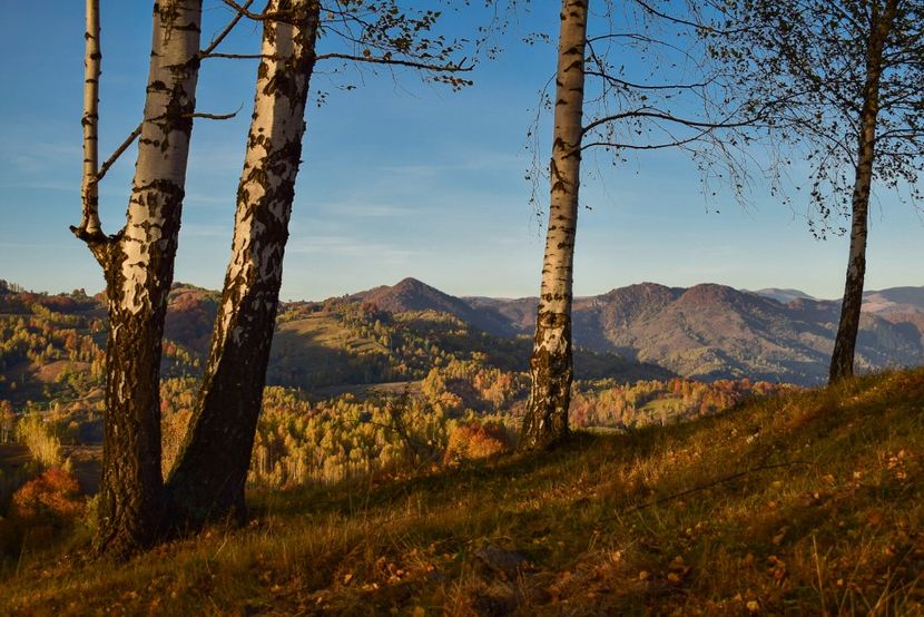  - O toamna ca-n povesti