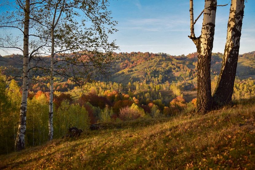  - O toamna ca-n povesti
