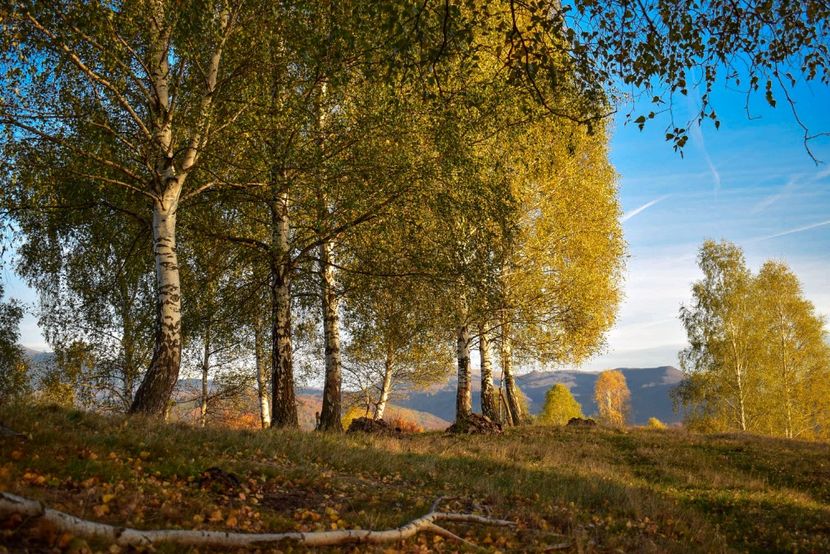  - O toamna ca-n povesti