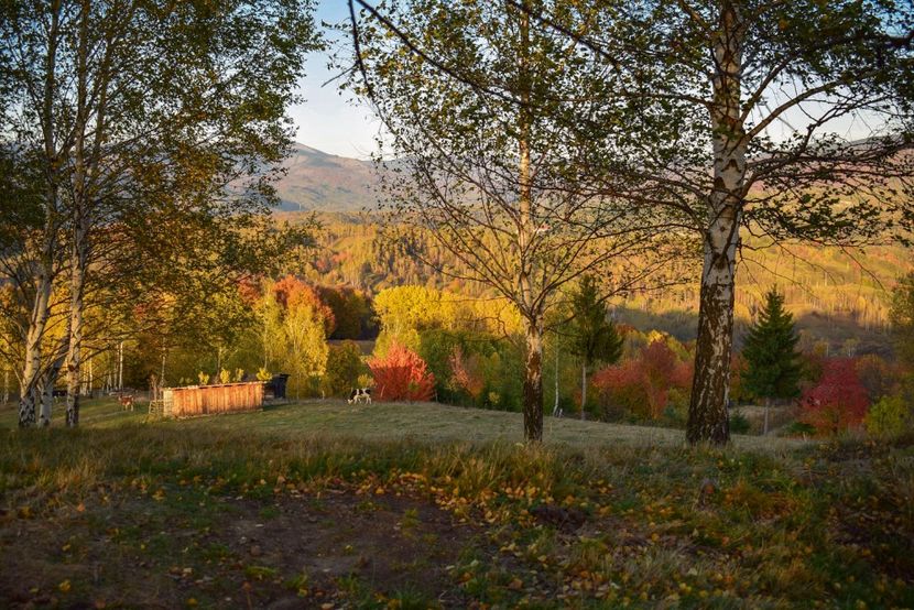  - O toamna ca-n povesti