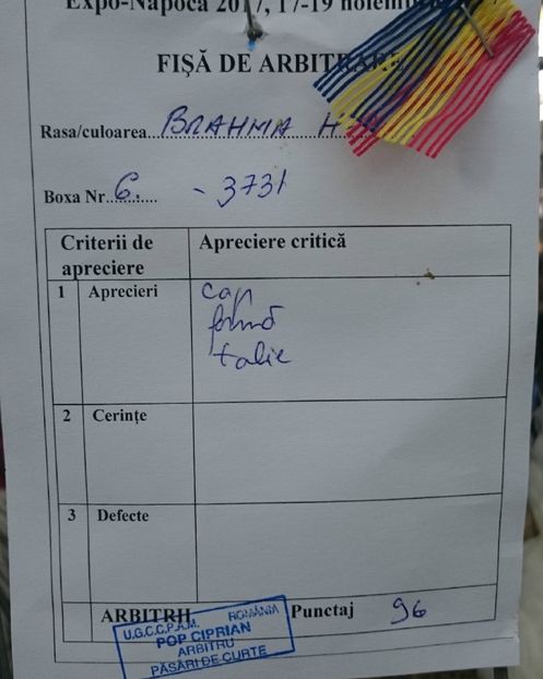 FISA F1 - EXPOZITIA ZONALA EXPO-NAPOCA 17-19 11 2017