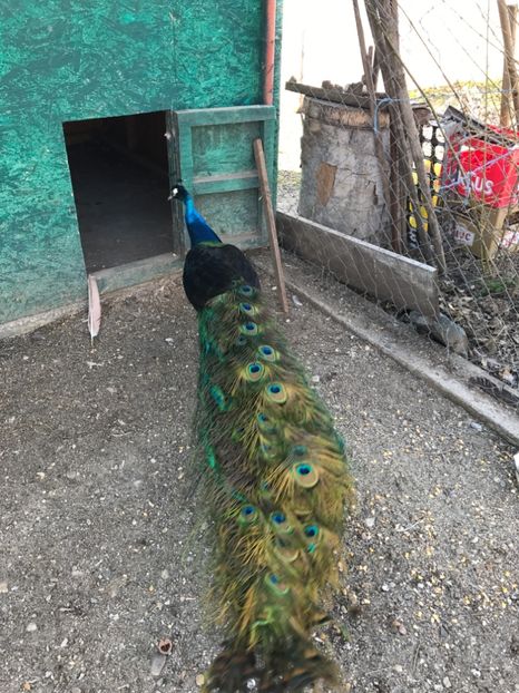  - VANZARI-SCHIMBURI-CUMPARARI