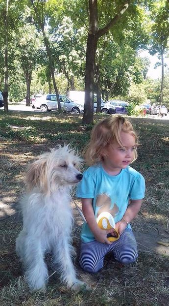 Golas Chinezesc Powder Puff - animalele si copii mei