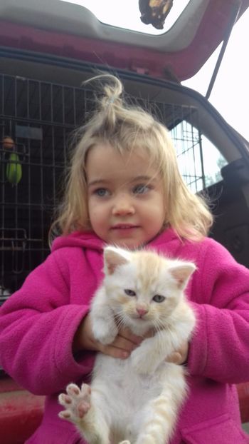 British metis - animalele si copii mei