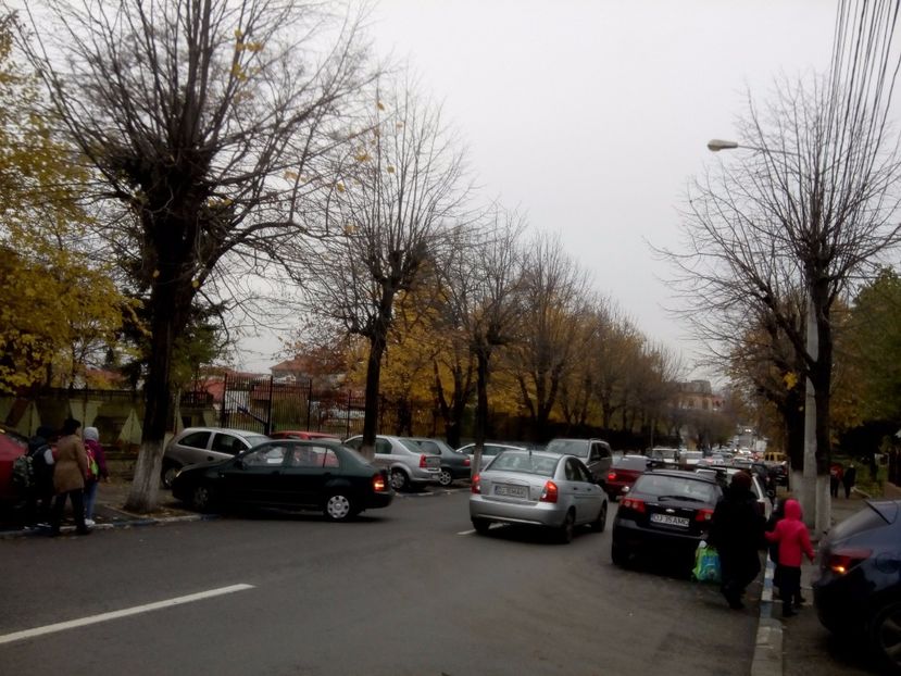  - 2017 - Sc altfel - Excursie Craiova