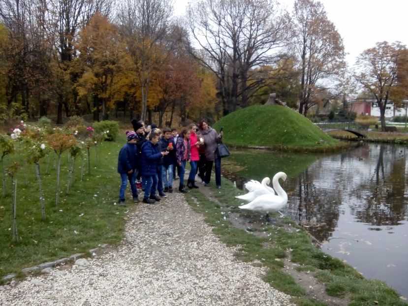  - 2017 - Sc altfel - Excursie Craiova