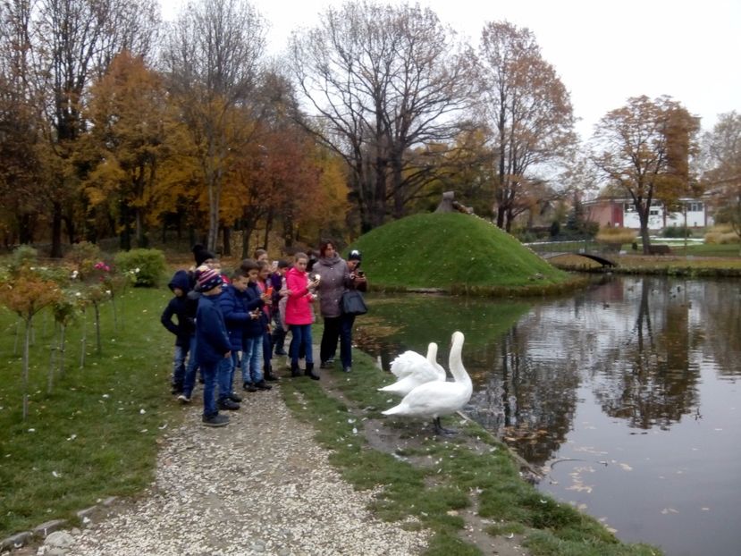  - 2017 - Sc altfel - Excursie Craiova