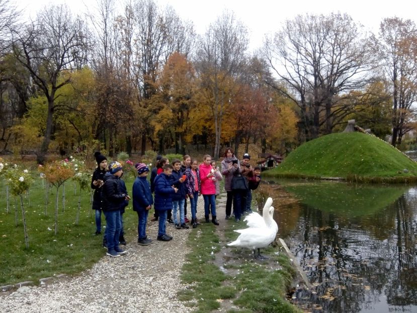 - 2017 - Sc altfel - Excursie Craiova