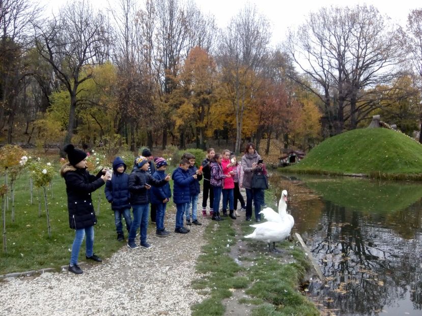  - 2017 - Sc altfel - Excursie Craiova