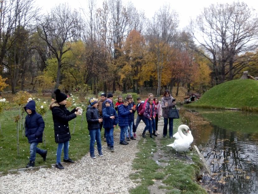  - 2017 - Sc altfel - Excursie Craiova