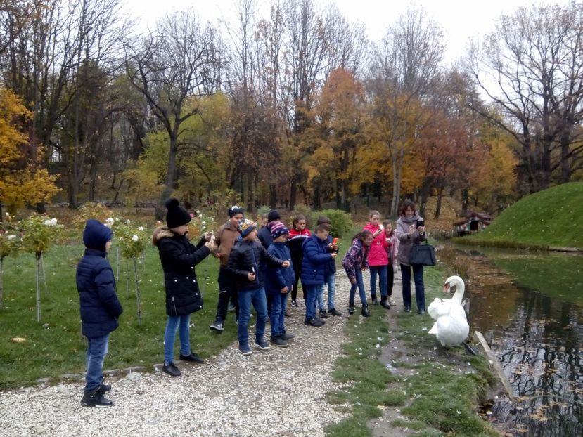  - 2017 - Sc altfel - Excursie Craiova