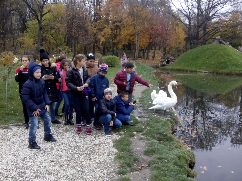  - 2017 - Sc altfel - Excursie Craiova