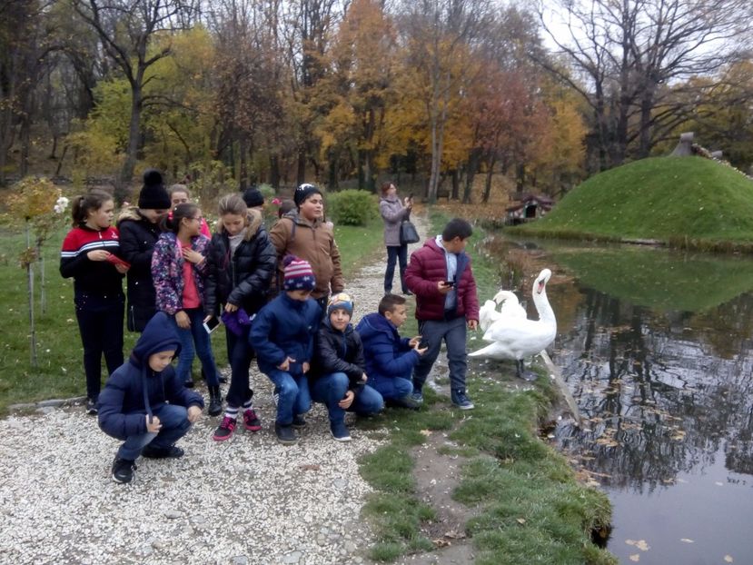 - 2017 - Sc altfel - Excursie Craiova