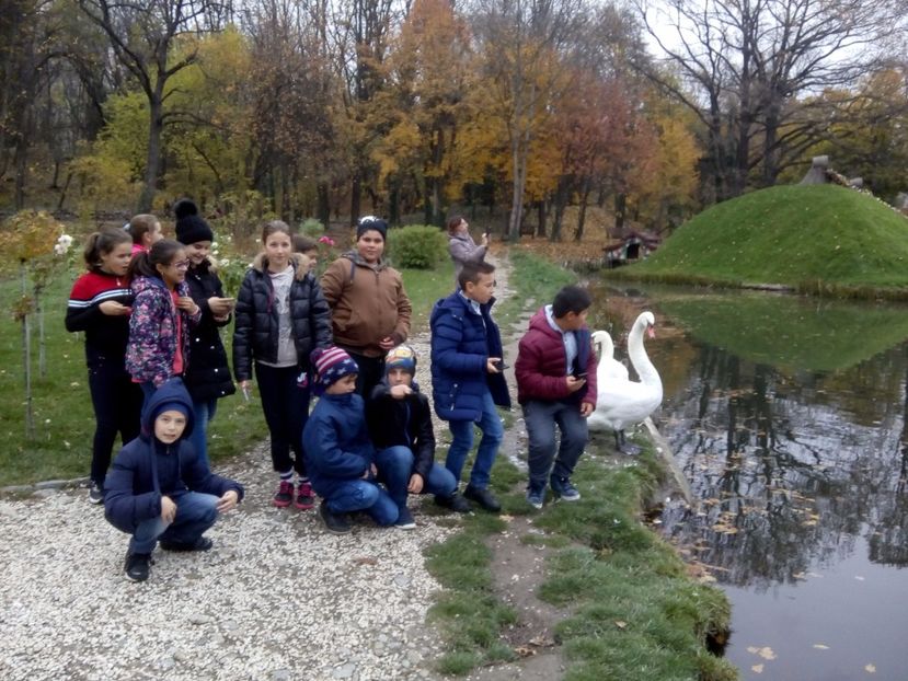 - 2017 - Sc altfel - Excursie Craiova