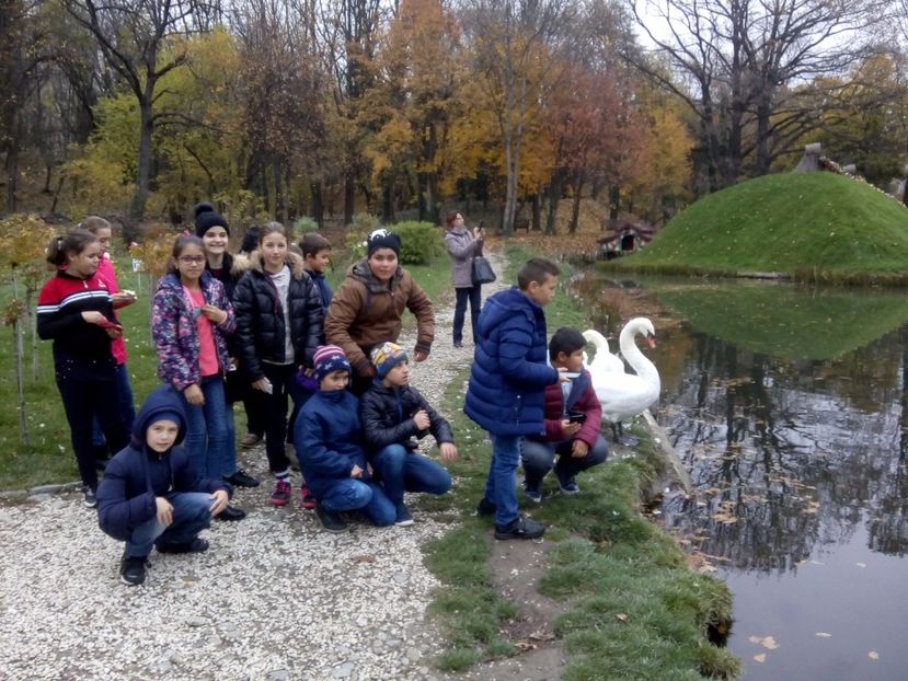  - 2017 - Sc altfel - Excursie Craiova