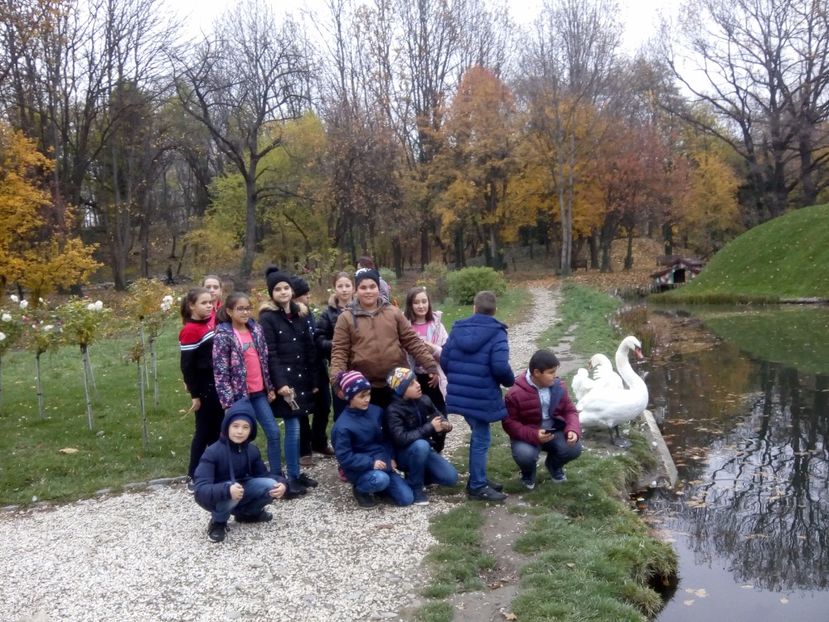  - 2017 - Sc altfel - Excursie Craiova