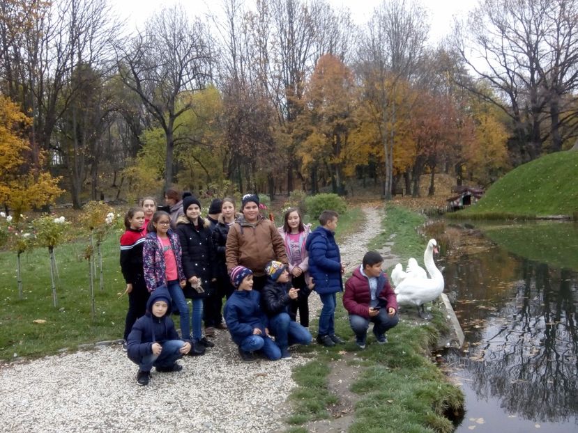  - 2017 - Sc altfel - Excursie Craiova
