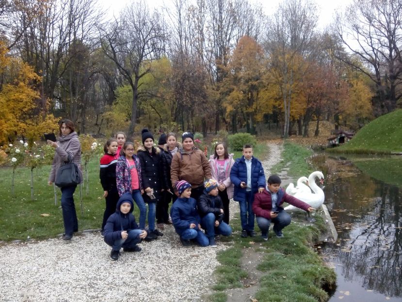  - 2017 - Sc altfel - Excursie Craiova